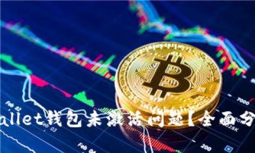 如何解决tpWallet钱包未激活问题？全面分析与解决方案