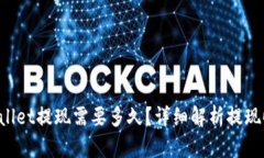: u提tpWallet提现需要多久？详细解析提现时间与流