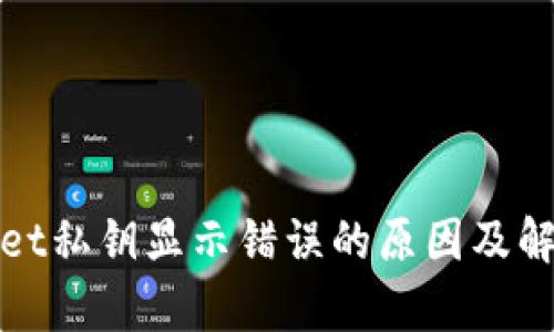 tpWallet私钥显示错误的原因及解决方案