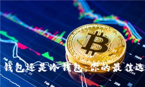 币存热钱包还是冷钱包：你的最佳选择分析