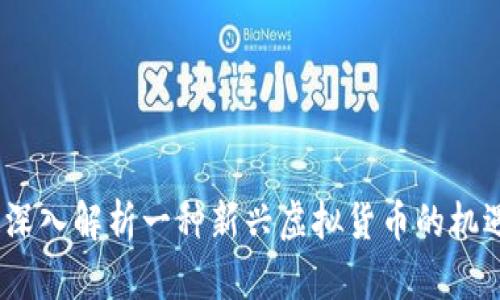 盛源币：深入解析一种新兴虚拟货币的机遇与挑战