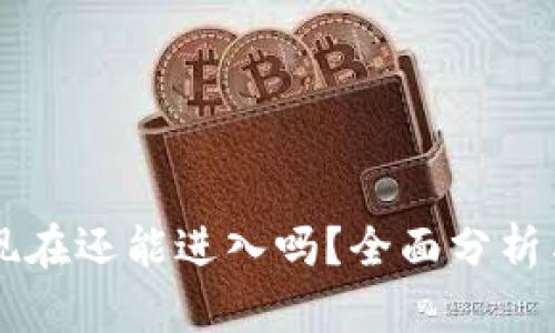 tpWallet现在还能进入吗？全面分析与使用指南