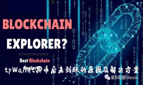 tpWallet买币后未到账的原因及解决方案